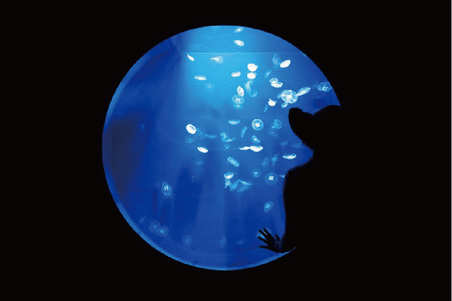 Kochi Prefectural Ashizuri Aquarium